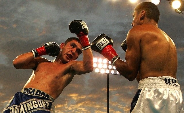 Boxfight - Boxen Wetten