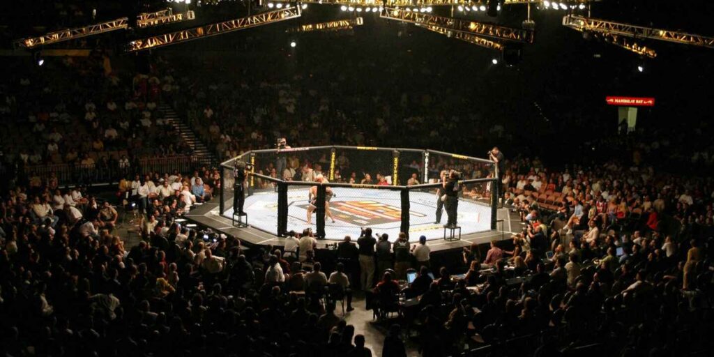 UFC Käfig