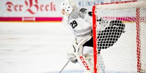 DEL Icehockey sample image