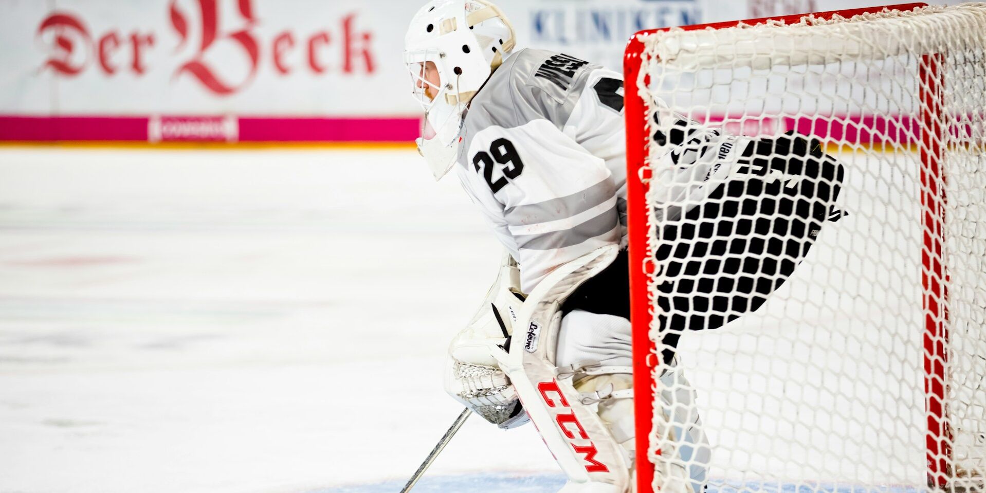 DEL Icehockey sample image