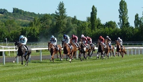 horse racing competition