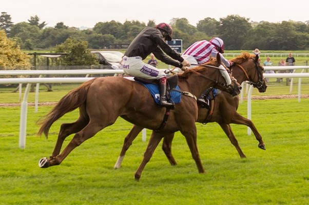 horse racing jockeys