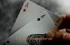 Chipleader92