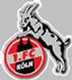teemukoeln