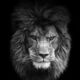 SupremeBeing