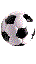 dieter