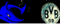 dipf