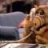 ALF