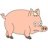 oinkos