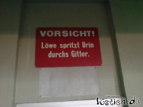 Klicke auf die Grafik für eine vergrößerte Ansicht

Name: 14571-loewe-urin.jpg
Ansichten: 179
Größe: 37,7 KB
ID: 5311381